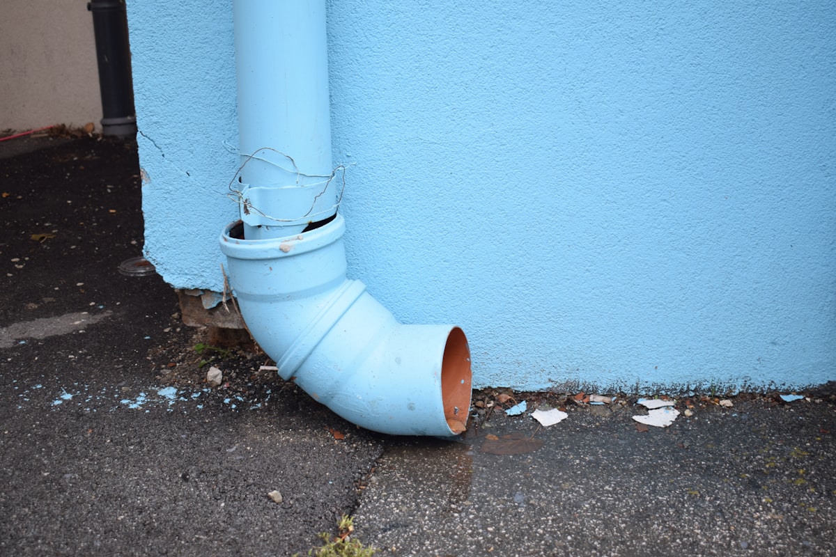 Basement Water Removal service in Wilmington, NC