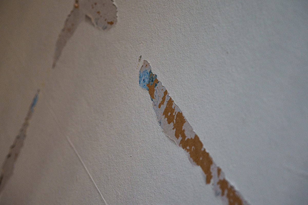 Flood Cleanup service in Wilmington, NC