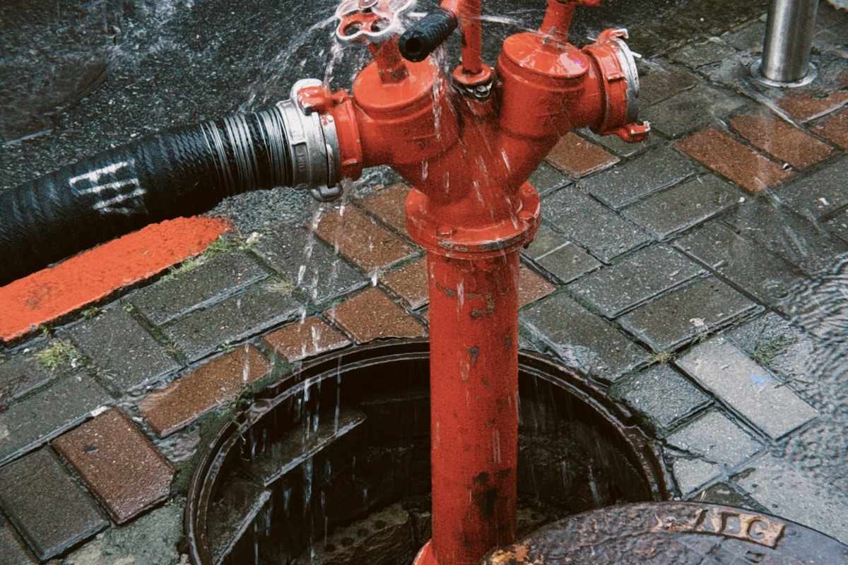 Commercial water damage restoration in Wilmington